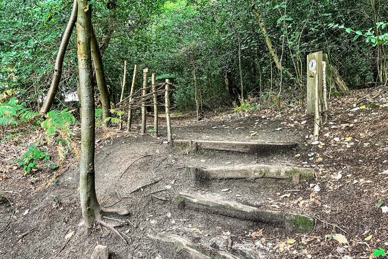 Steps To Rowhill Nature Trail