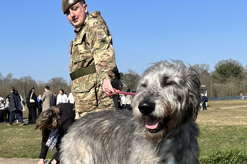 Army Dog And Their Handler