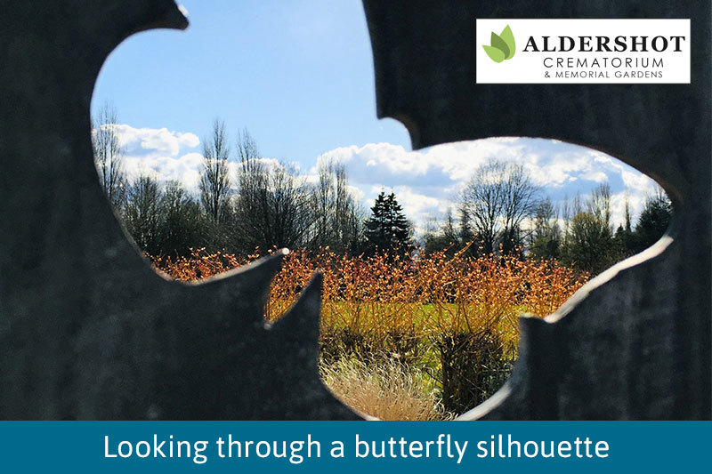 Looking Through A Butterfly Silhouette