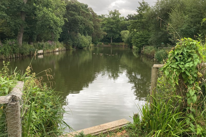 Aldershot Park Lake