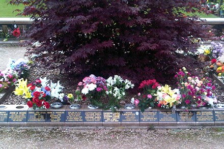 Memorial vases and tablets, some with flowers,  placed around a tree in the crematorium grounds