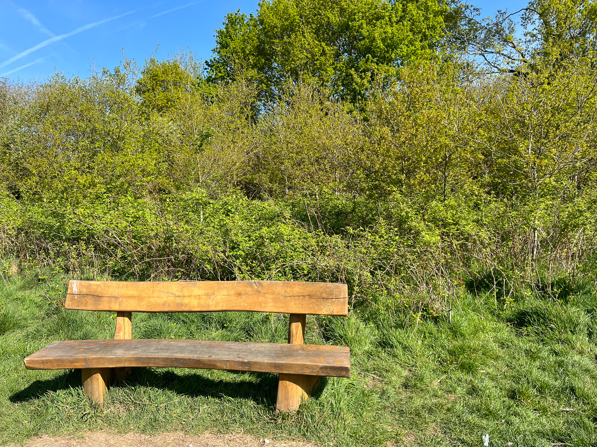 Rowhill Nature Reserve seat