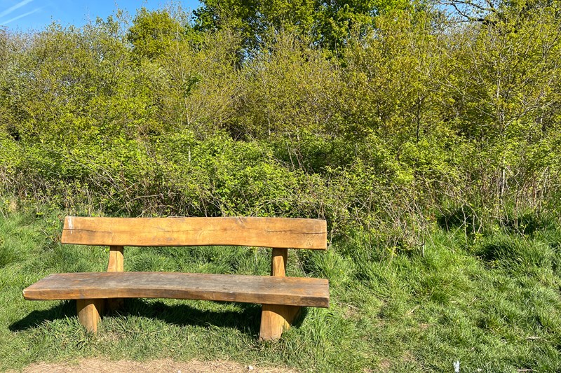 Rowhill Nature Reserve seat