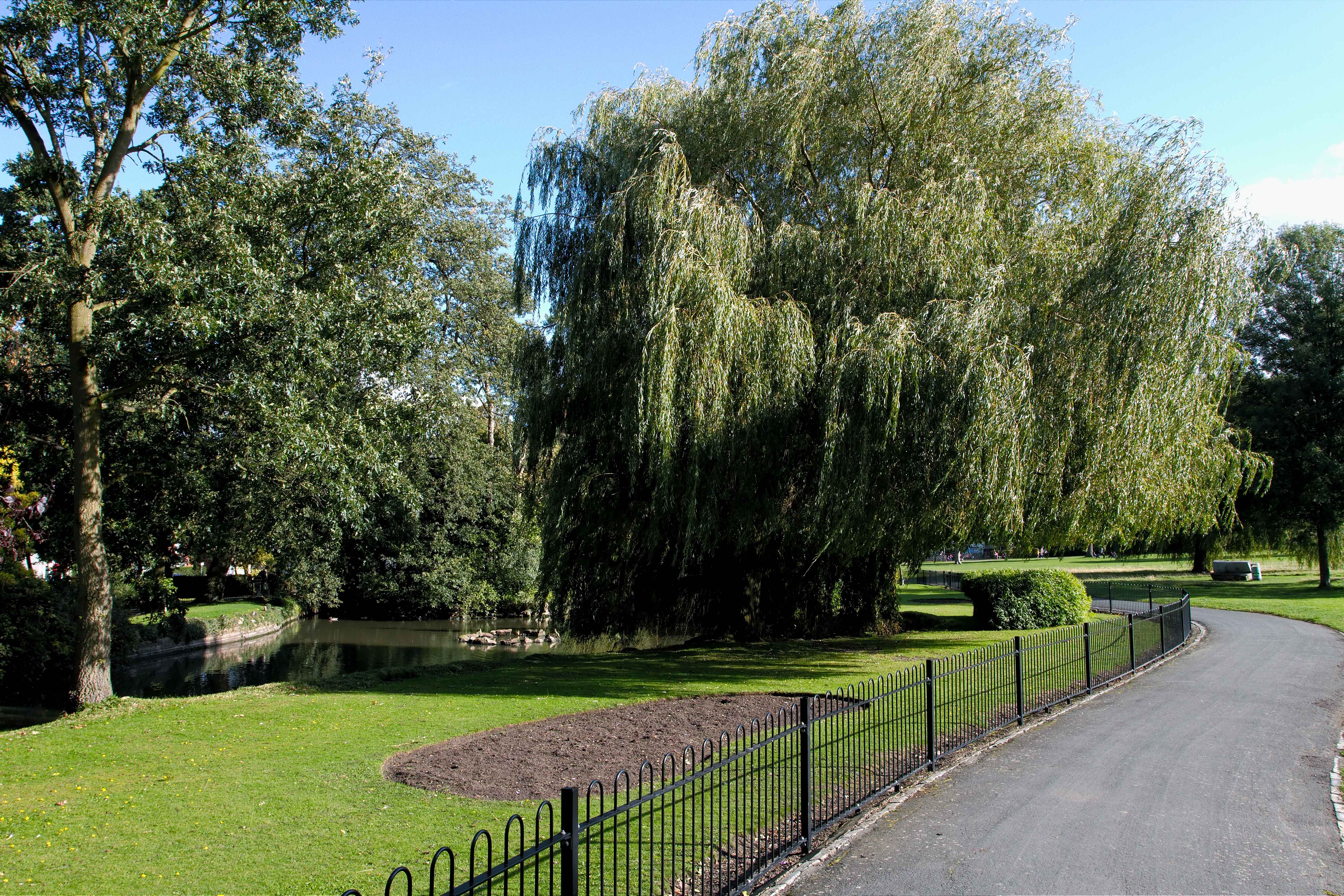Manor Park pond