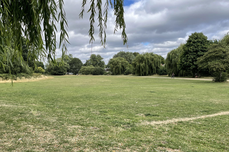 Blunden Road Recreation Ground Trees