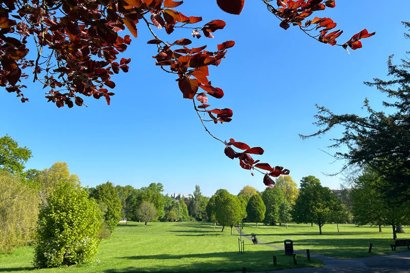 Manor Park Grounds