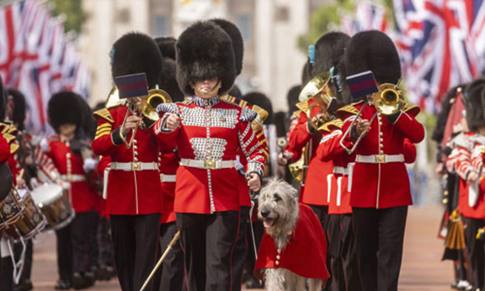 Marching Band of the Irish Guards