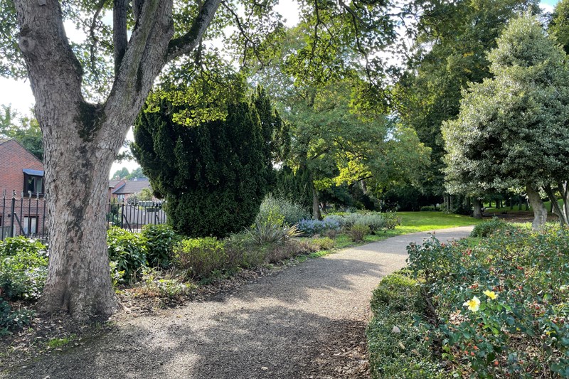 Pathway At Municipal Gardens