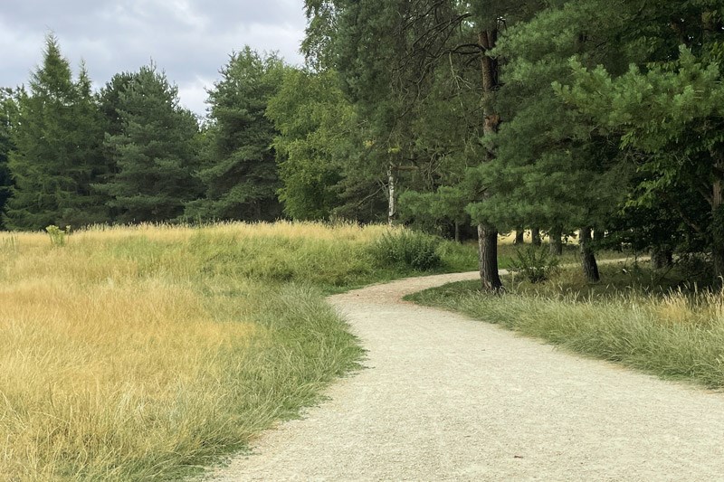 Paths In Southwood Country Park