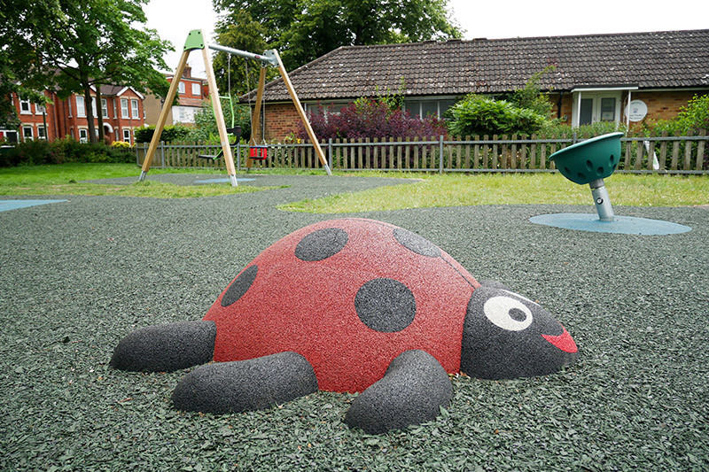 Cove Green Ladybird
