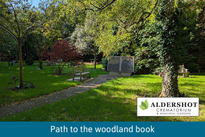 Path To The Woodland Book