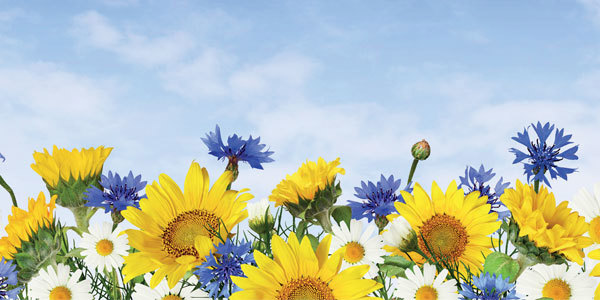 Ukraine Independence Day