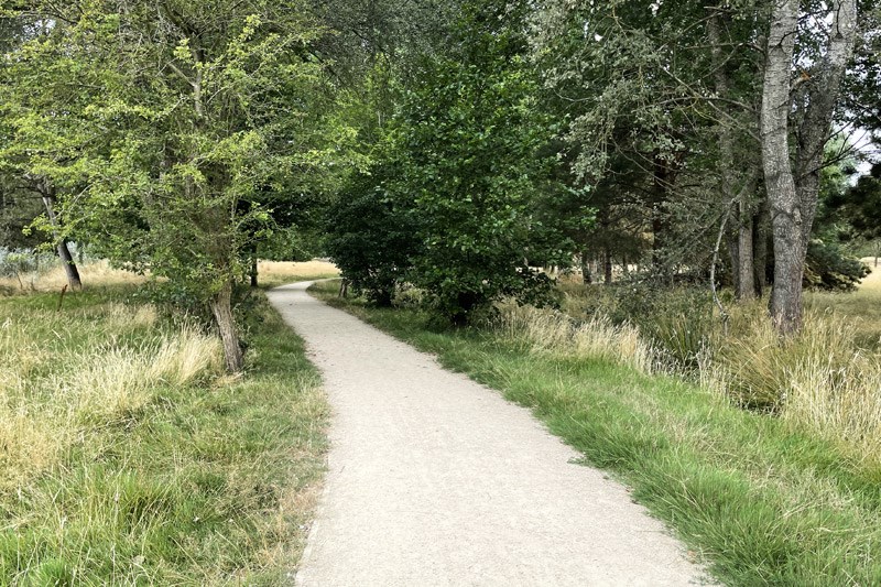 More Paths In Southwood Country Park