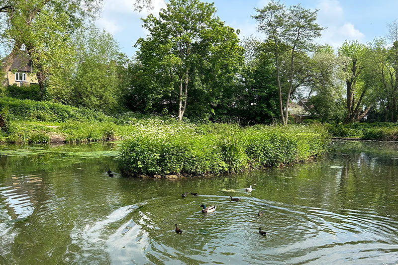 Brickfields Pond
