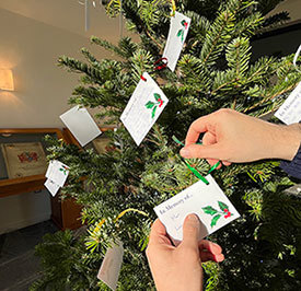Hand putting a card on the memorial Christmas tree