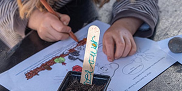 Eco Explorers Club