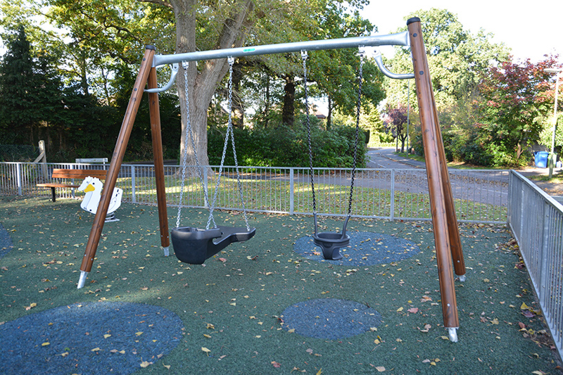 Pyestock Swings