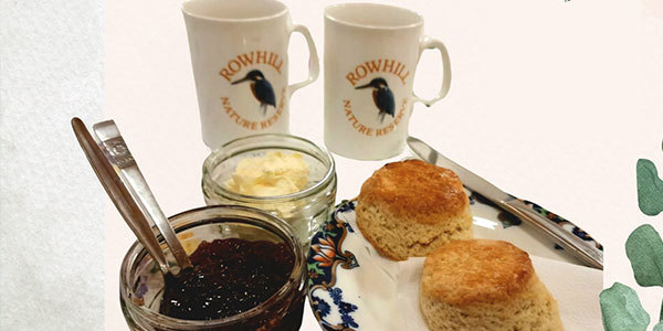 Cream Teas
