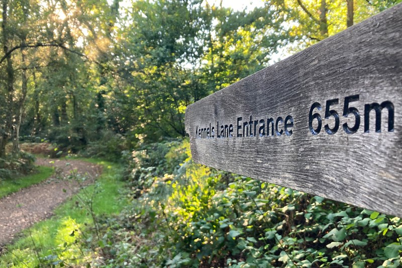 Finger Post Sign At Southwood Woodland