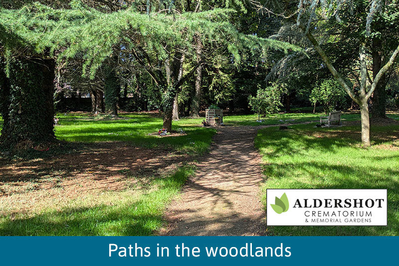 Path Through The Woodland