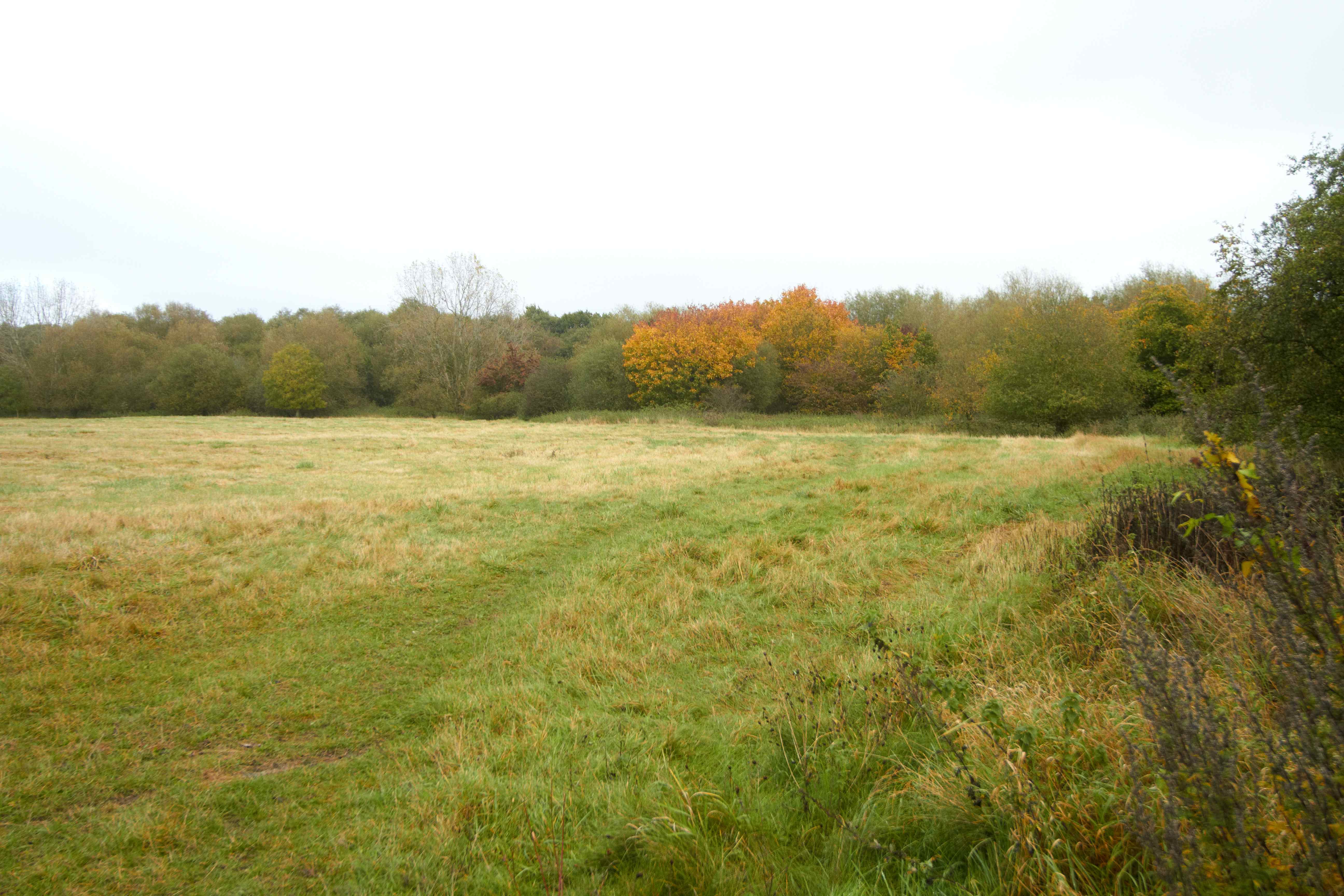 Hollybush and Hollybush Hill Rushmoor Borough Council