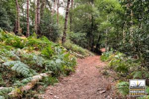 Rowhill Nature Reserve