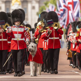 Band of the Irish Guards