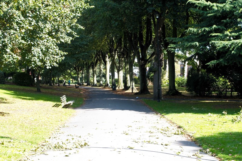 Municipal Gardens woodland walk