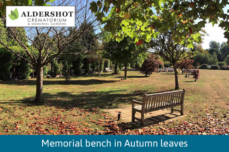 Bench With Autumn Leaves