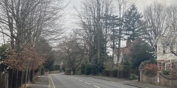 Protected Trees