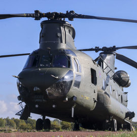 Close up of Chinook